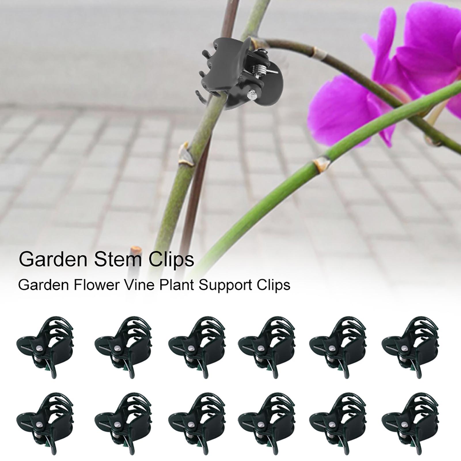 Florist Supply Bulk - 100 Stück Mini-Pflanzenklammern für Gartenblumen, Pflanzenunterstützung