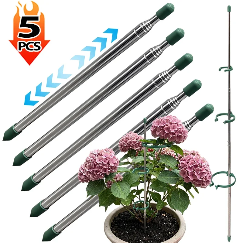 Florist Supply Bulk - 5/1 Stück Einziehbarer Pflanzenstützring Grüne Stäbe