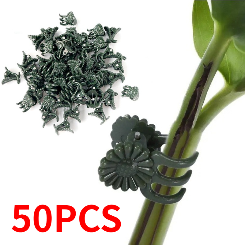 50 Stück 5-Klauen dunkelgrüne  – Florist Supply Bulk Bewertung und Preis