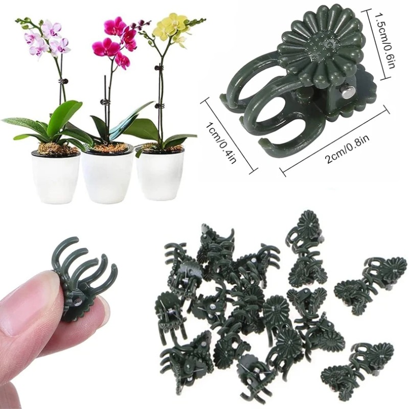 50 Stück 5-Klauen dunkelgrüne  – Florist Supply Bulk Bewertung und Preis