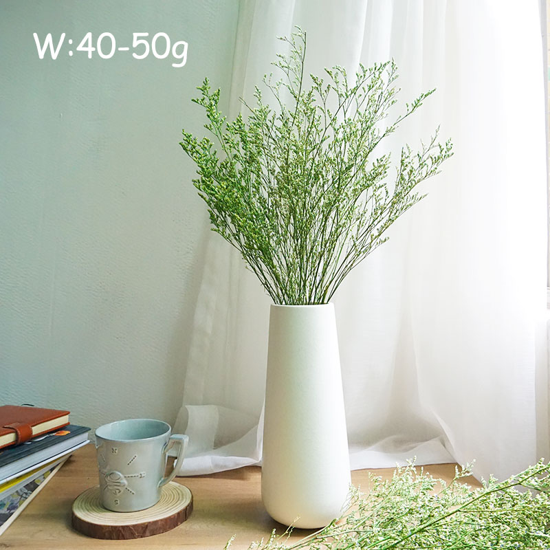 70g/Konserviertes Valentinstag – Eucalyptus Preserved Bewertung und Preis