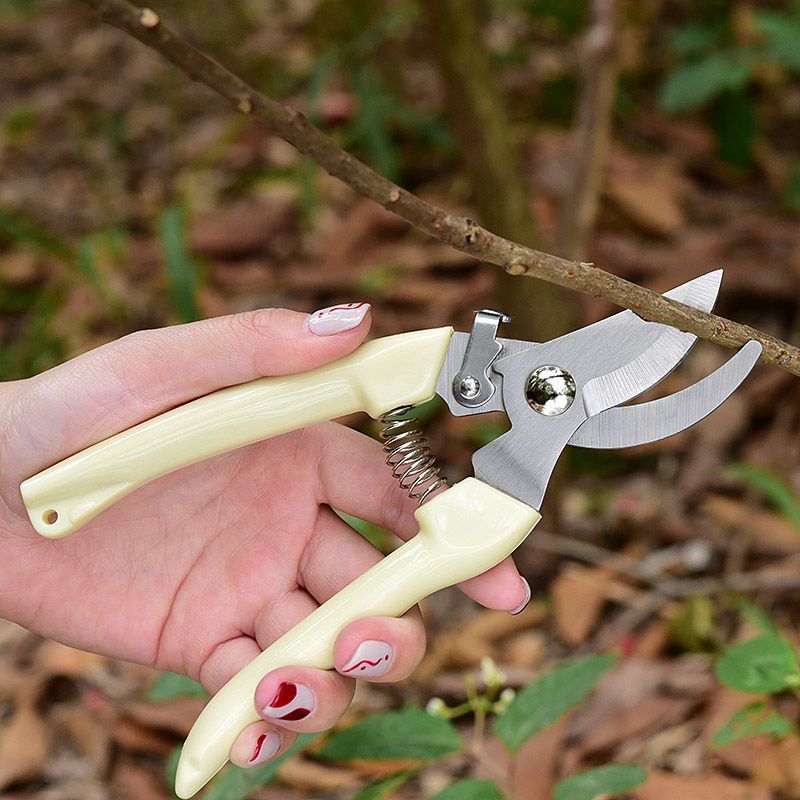 Arbeitssparende Gartenschere,  – Florist Supply Bulk Bewertung und Preis