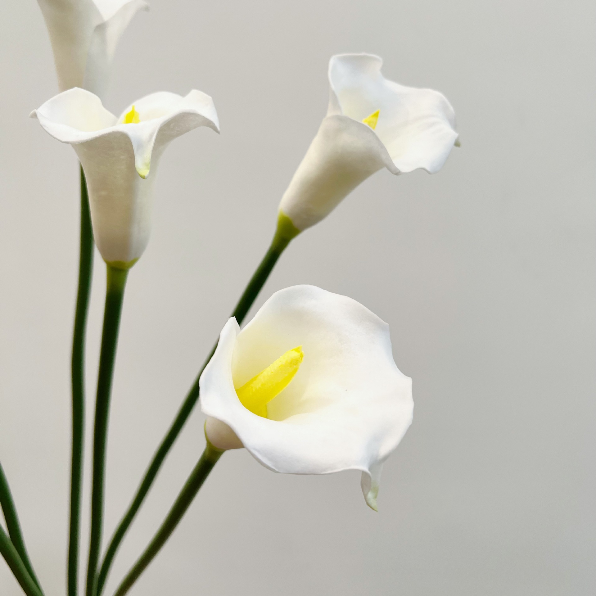26 Zoll Einzelstiel Halbmond-K – Florist Supply Bulk Bewertung und Preis