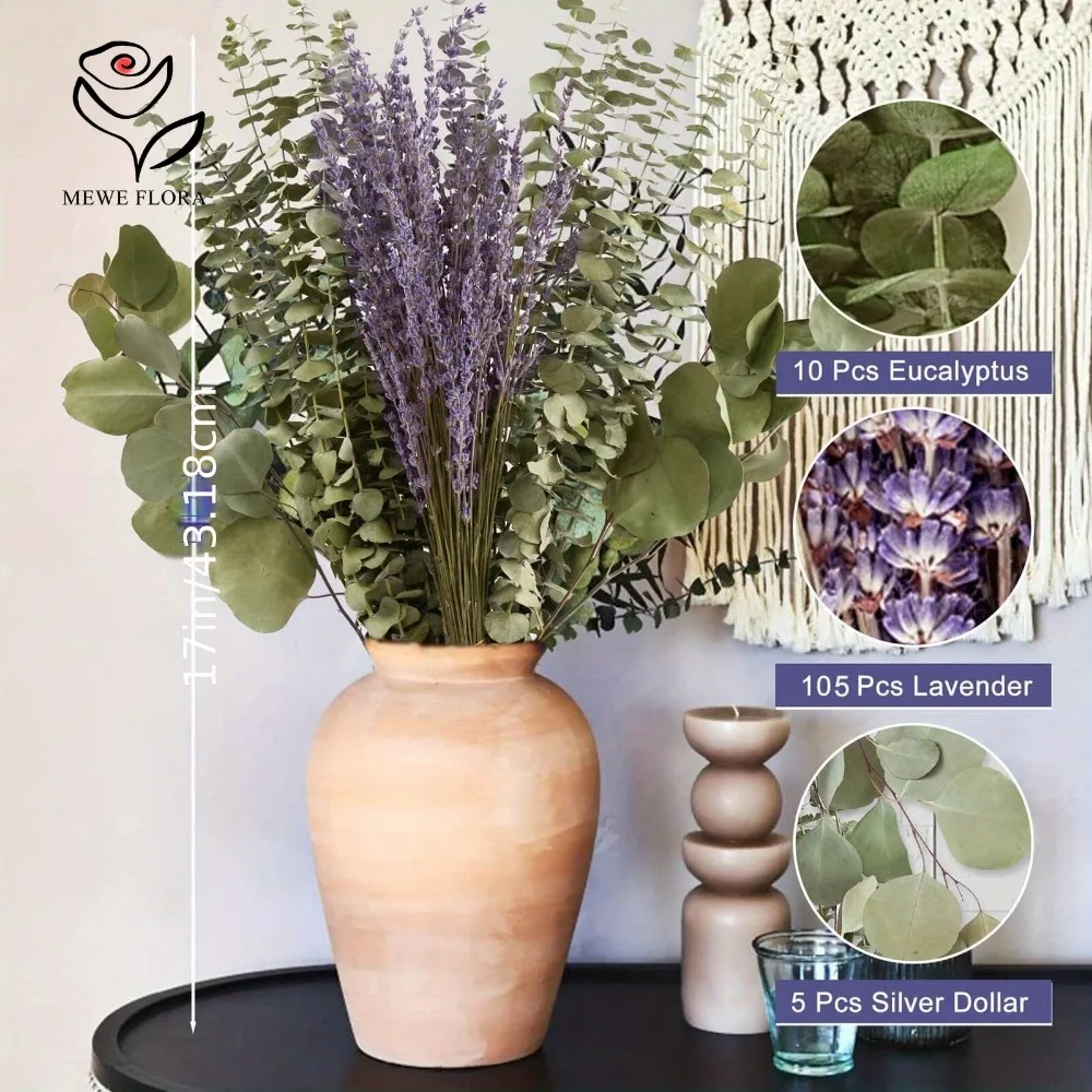 30 Stück getrocknete Blumen, k – Eucalyptus Preserved Bewertung und Preis