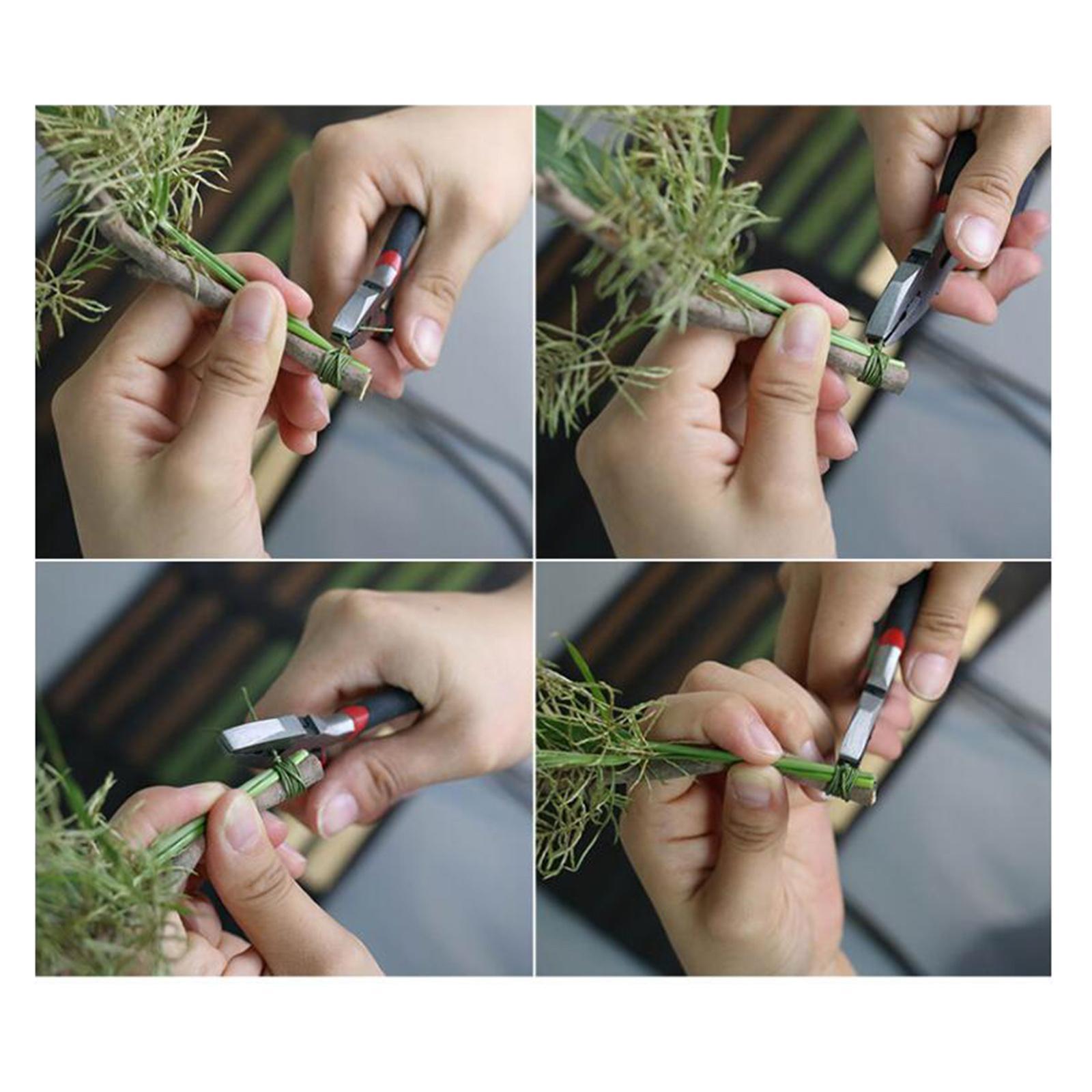 100x Floristendraht 16 Zoll 22 – Wire Stem Florist Bewertung und Preis