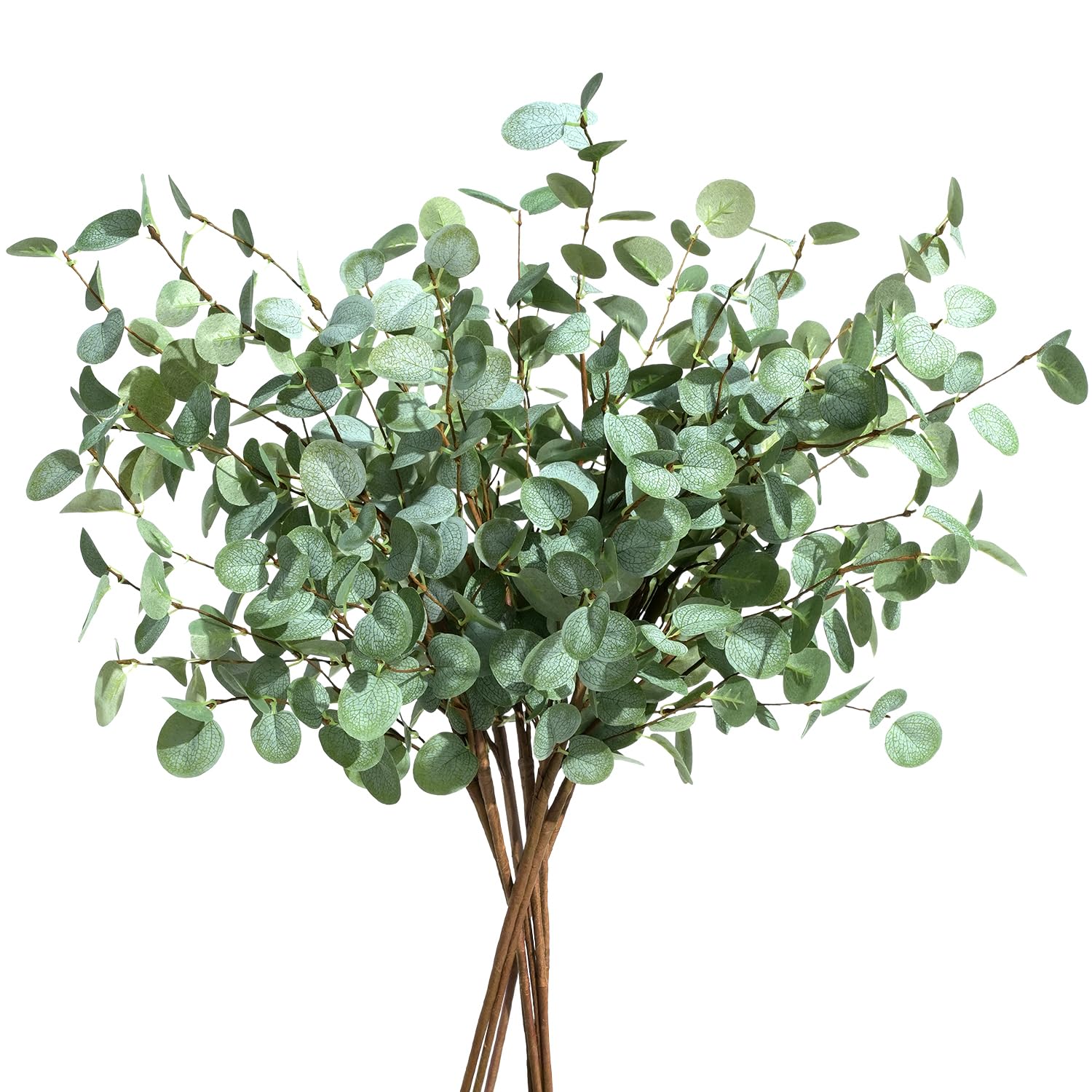 1/3 Stück künstliche Eukalyptu – Eucalyptus Preserved Bewertung und Preis
