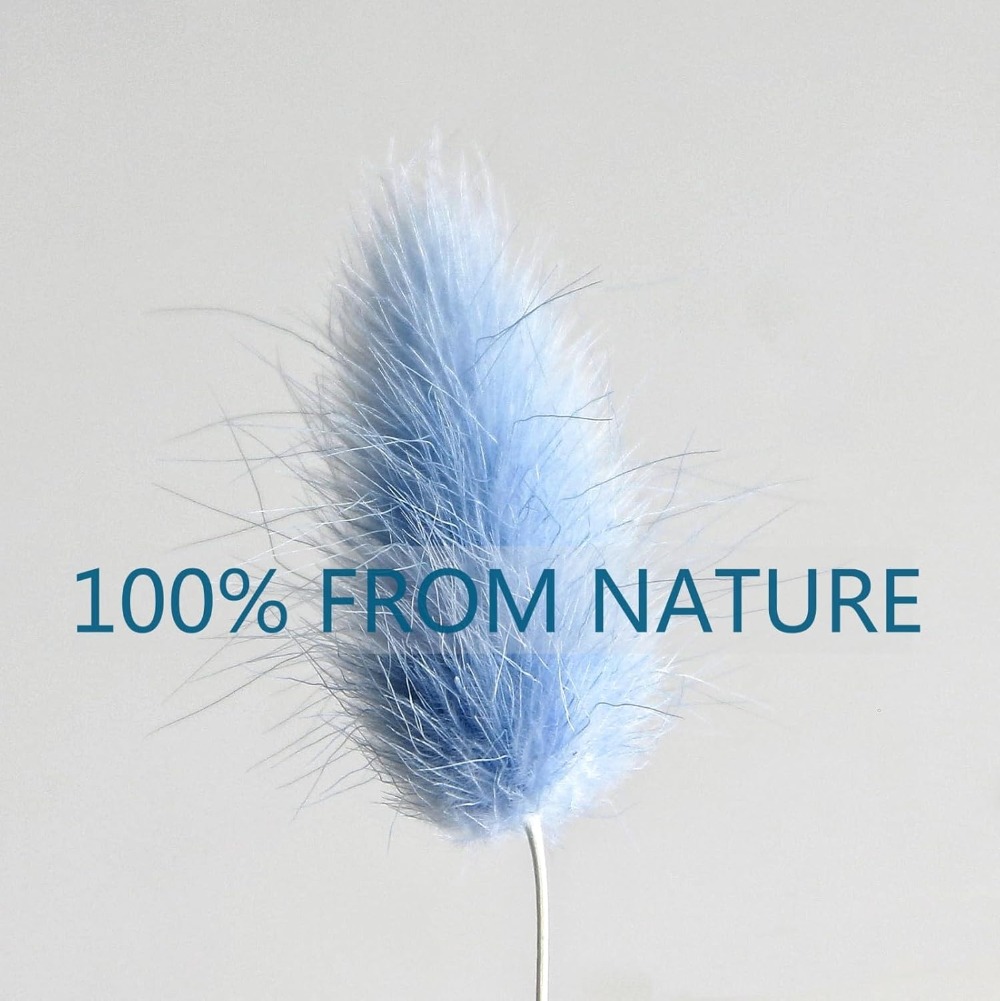 100 Stück blauer Häschen-Schwa – Eucalyptus Preserved Bewertung und Preis